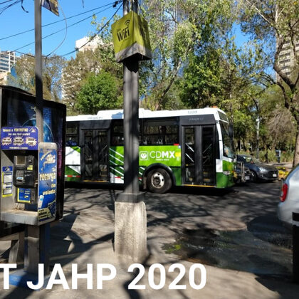 DINA Linner 12 1899 en Ruta 300B